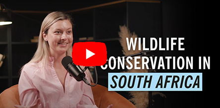 Travel Stories with Moush